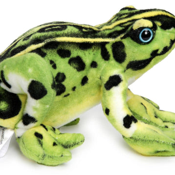 Frisco The Frog | 10 Inch Stuffed Animal Plush