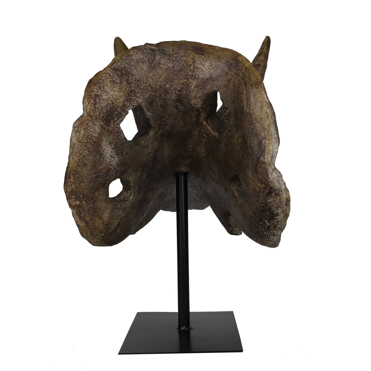 Faux Triceratops Dinosaur Large Skull Decor