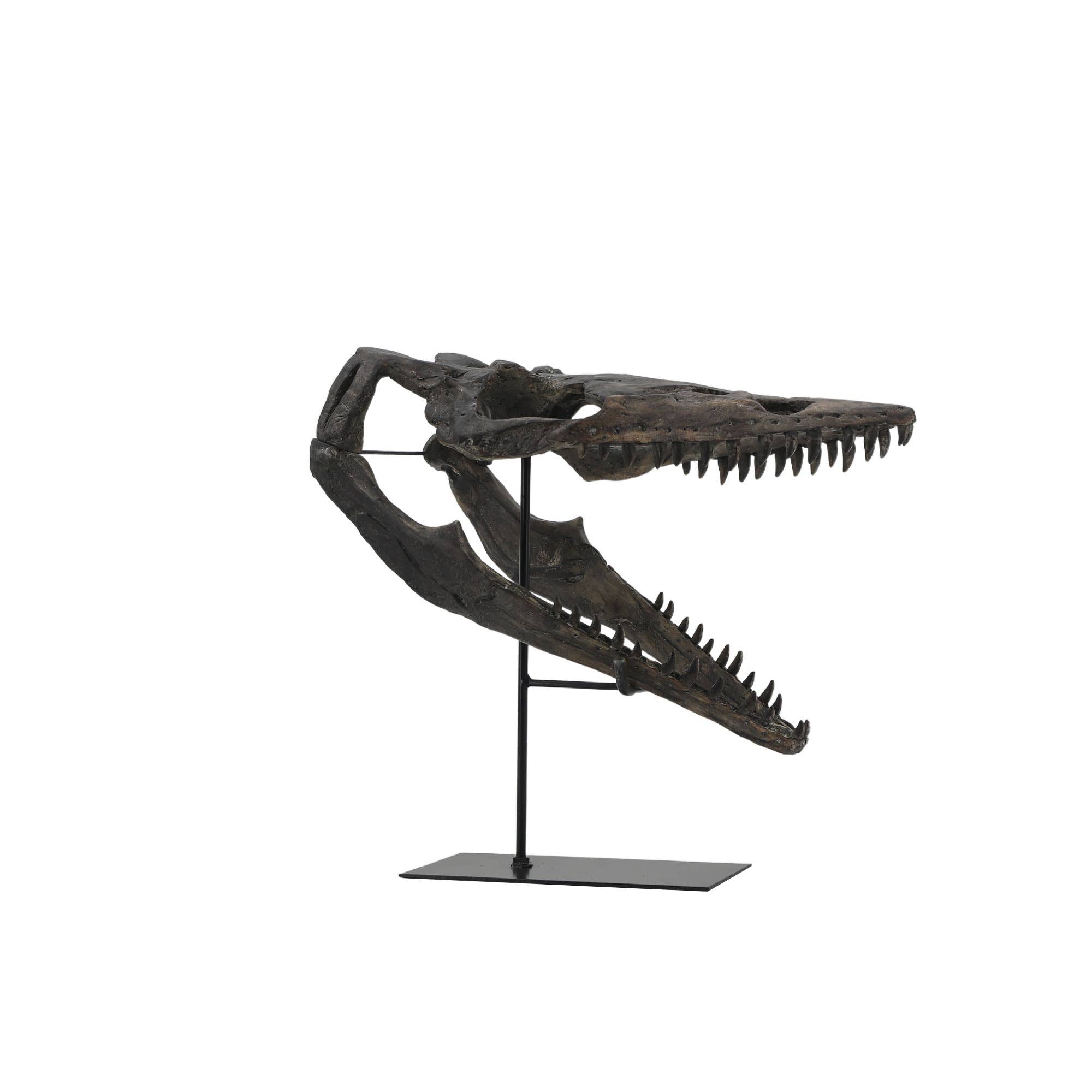 Faux Plioplatecarpus Dinosaur Skull Decor