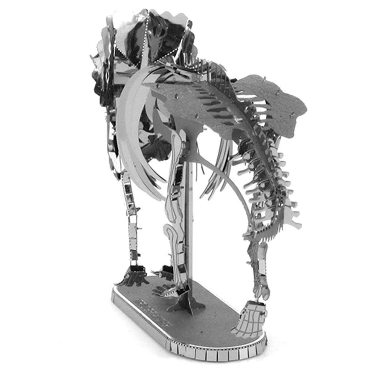 Steel Model Kit (small) -Triceratops Skeleton