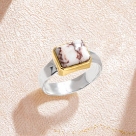 Wild Horse Silver Ring w/ Brass Bezel and Faceted Band - Size 8.5
