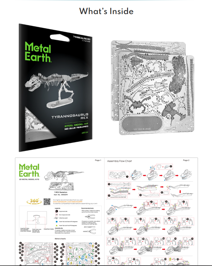 Steel Model Kit (small) - Tyrannosaurus Rex Skeleton
