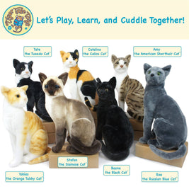 Tate The Tuxedo Cat | 14 Inch Stuffed Animal Plush | By TigerHart Toys