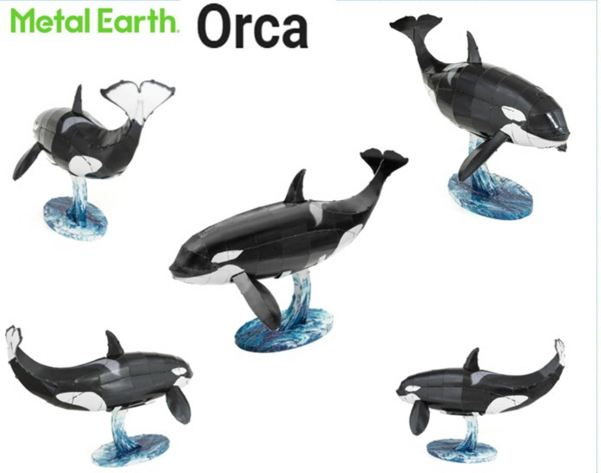 Steel Model Kit (small) - Orca Color