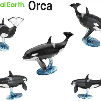 Steel Model Kit (small) - Orca Color