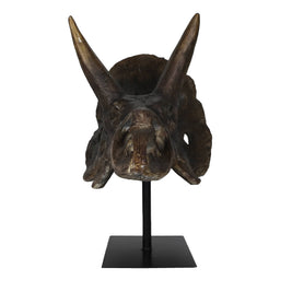 Faux Triceratops Dinosaur Large Skull Decor