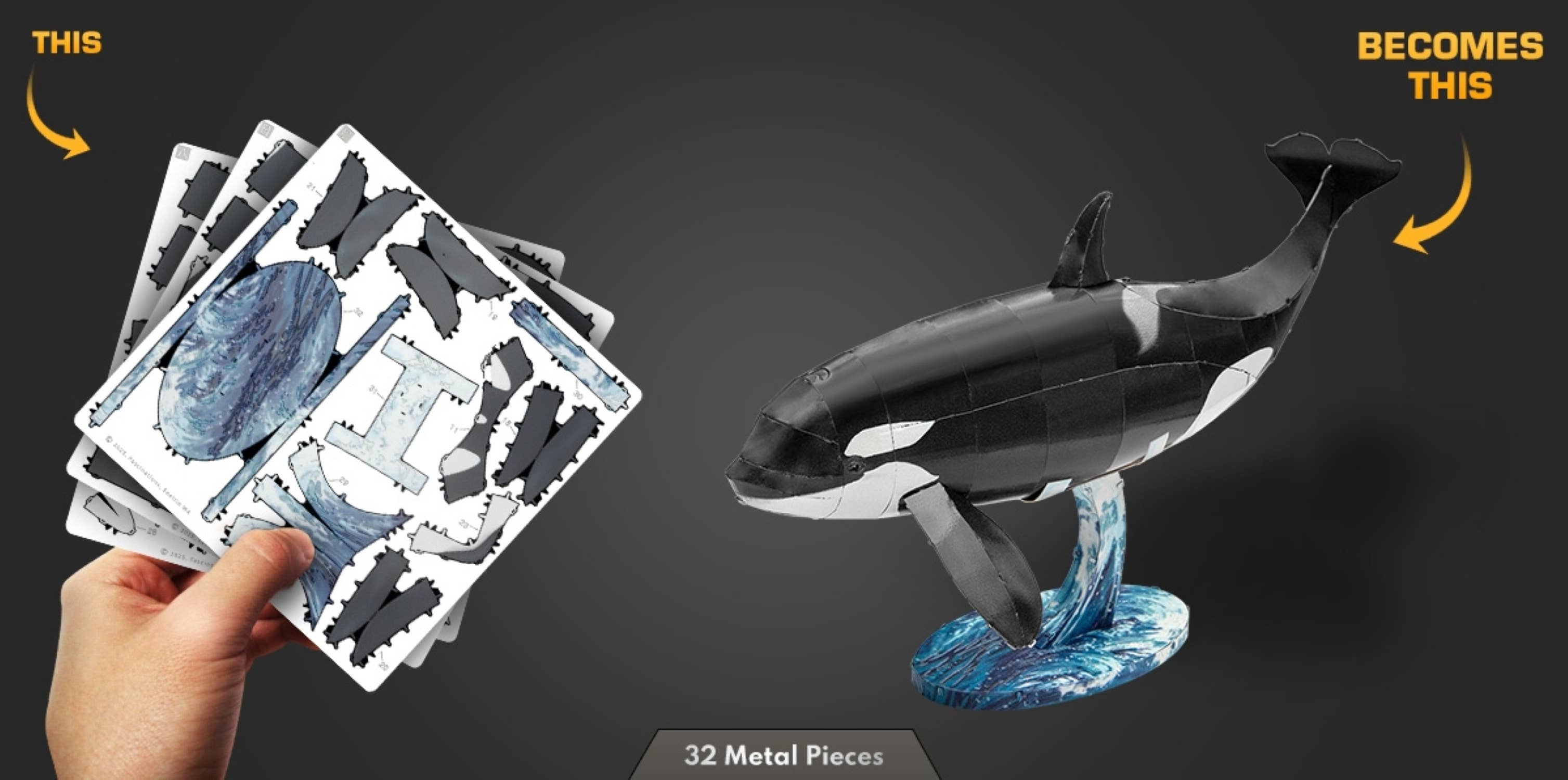Steel Model Kit (small) - Orca Color