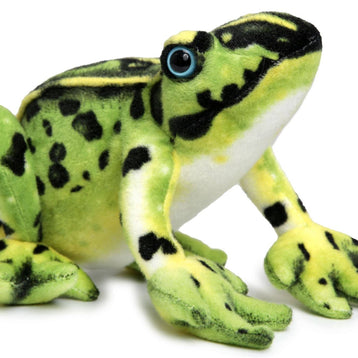 Frisco The Frog | 10 Inch Stuffed Animal Plush