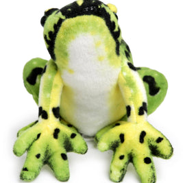 Frisco The Frog | 10 Inch Stuffed Animal Plush