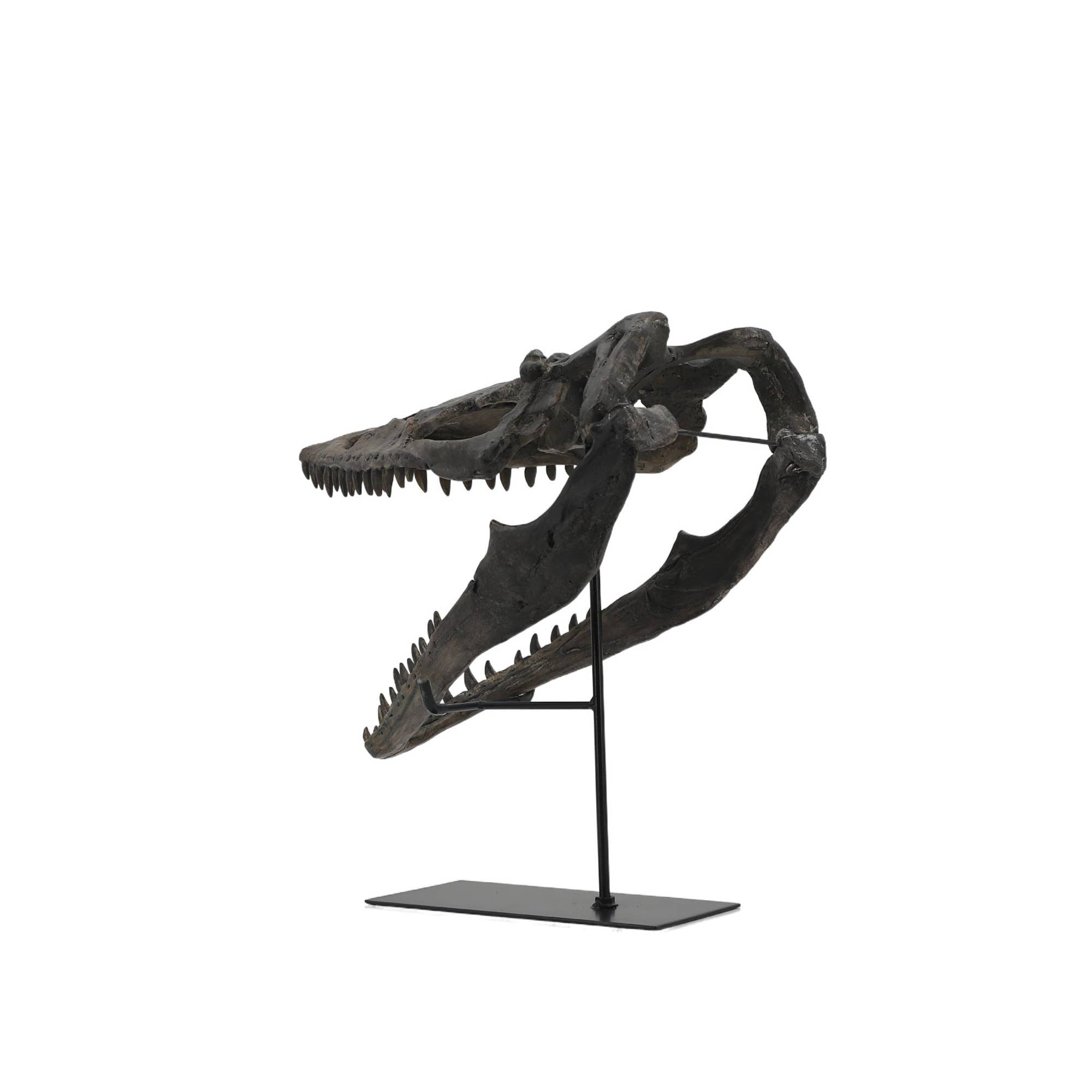 Faux Plioplatecarpus Dinosaur Skull Decor