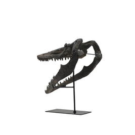 Faux Plioplatecarpus Dinosaur Skull Decor