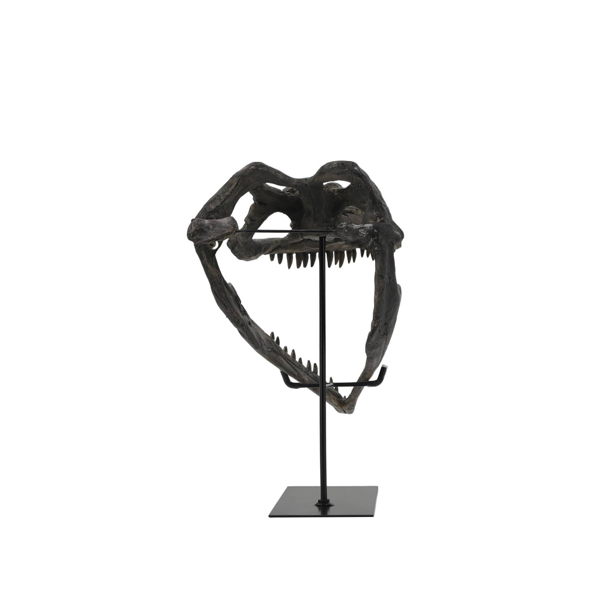 Faux Plioplatecarpus Dinosaur Skull Decor