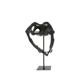 Faux Plioplatecarpus Dinosaur Skull Decor