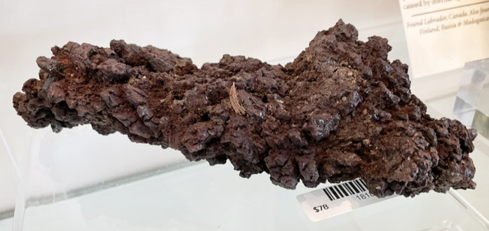 Coprolite "Dragon Scaled" Fossilized Dino Dung XL ($78 unit)
