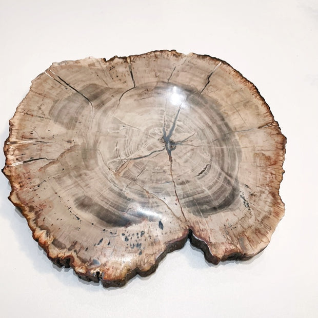 Sliced Madagascar Petrified Wood - 9"