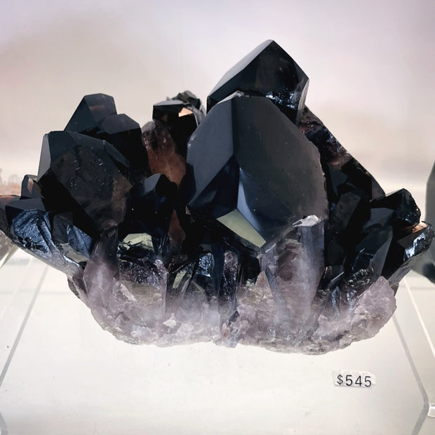 Showpiece Extra Dark "Morion" Smokey Quartz Polished Cluster Specimen - 6 lbs