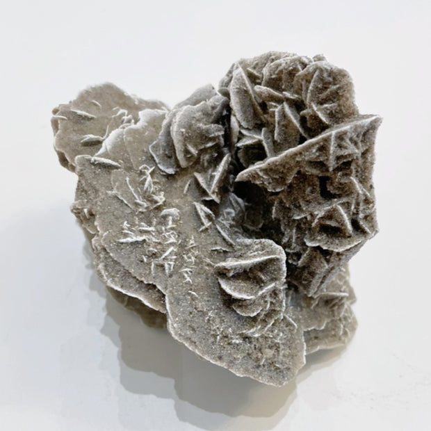 Desert Rose Specimen