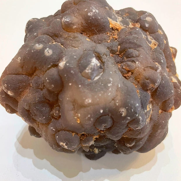 Large Botryoidal 'Truffle' Chalcedony Specimen - Womb Stone