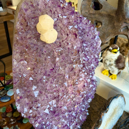 Showpiece Large Amethyst Decor w/ White Calcite Accent