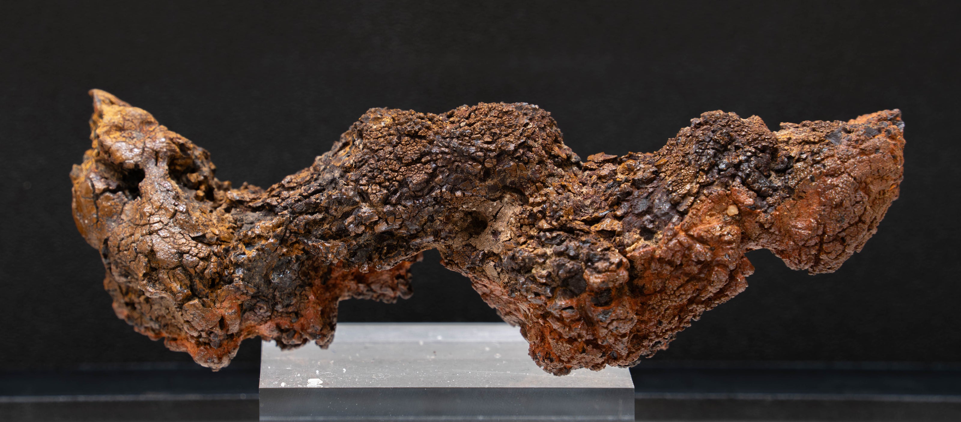 Coprolite 
