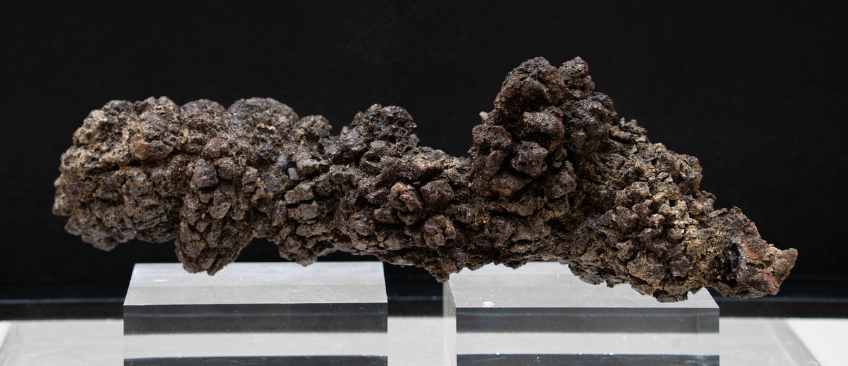 Coprolite "Dragon Scaled" Fossilized Dino Dung XL
