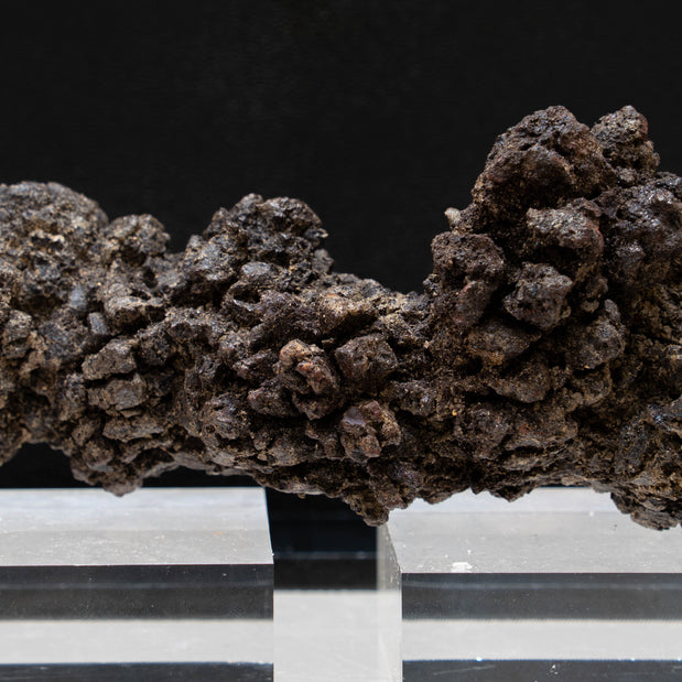 Coprolite 