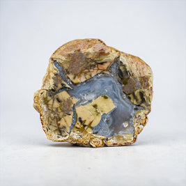 Thunder Egg Specimen B - Cold Mountain, Mexico