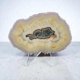 Rare Small Amethyst Stalactite Slice