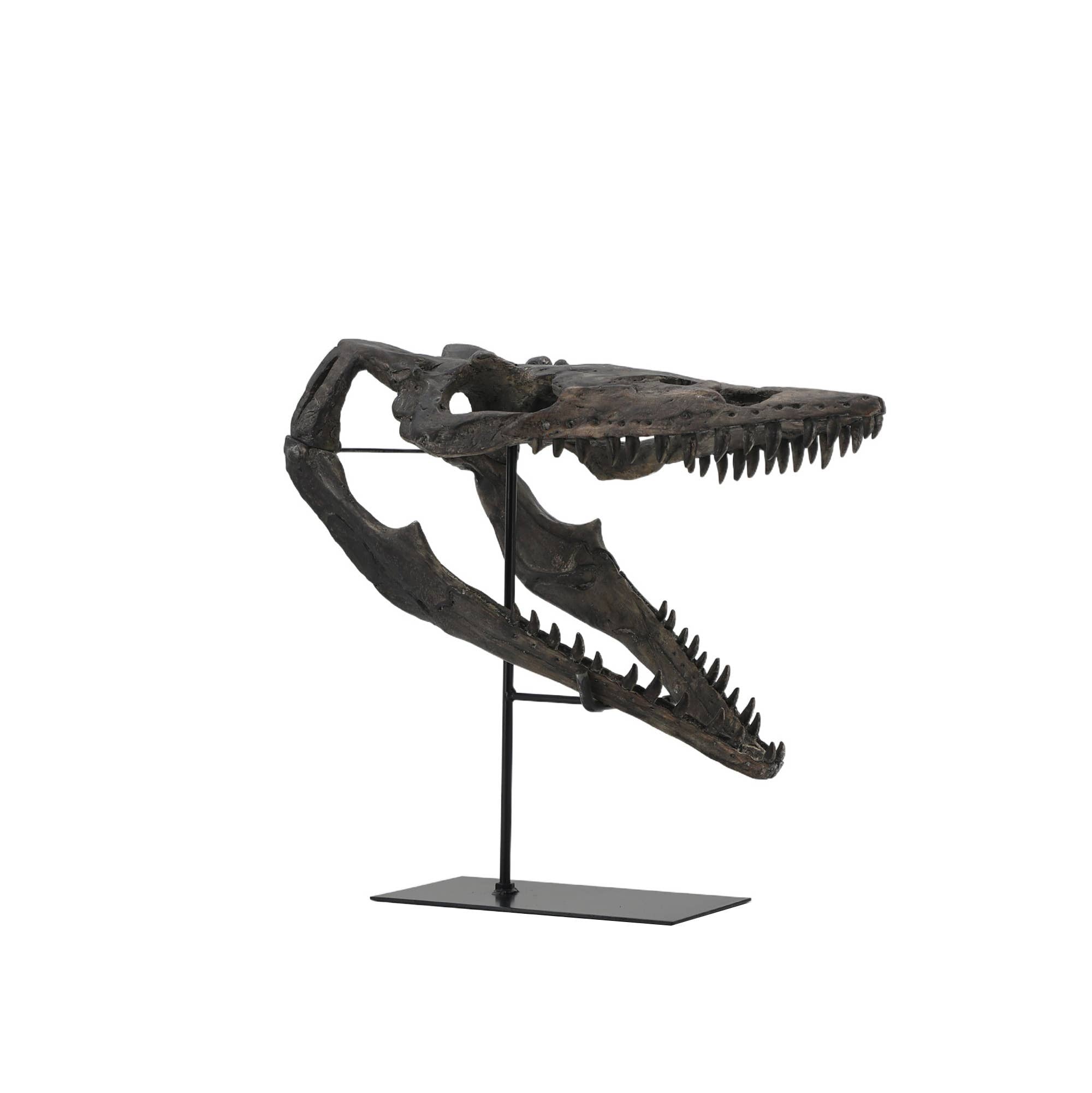 Faux Plioplatecarpus Dinosaur Skull Decor
