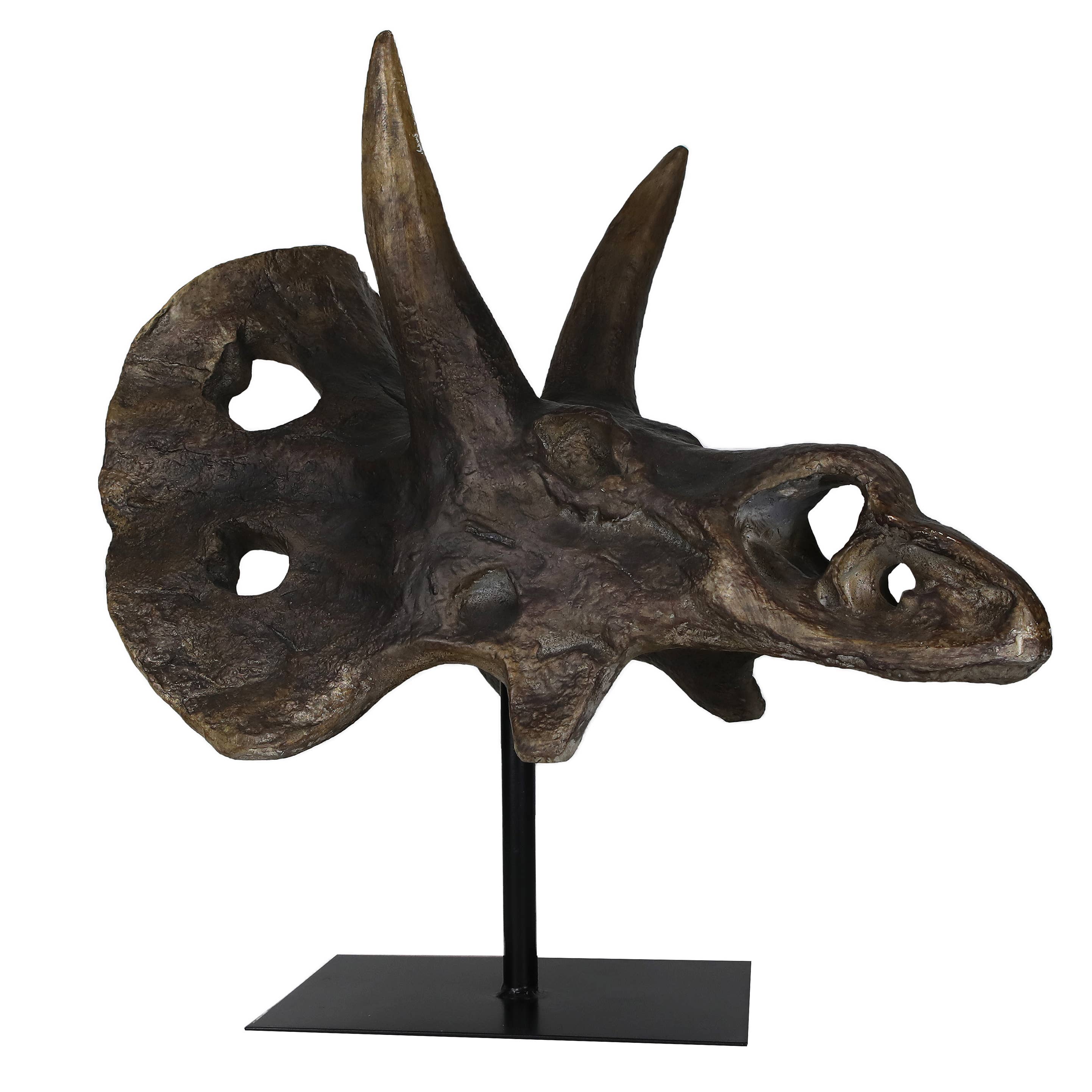 Faux Triceratops Dinosaur Large Skull Decor