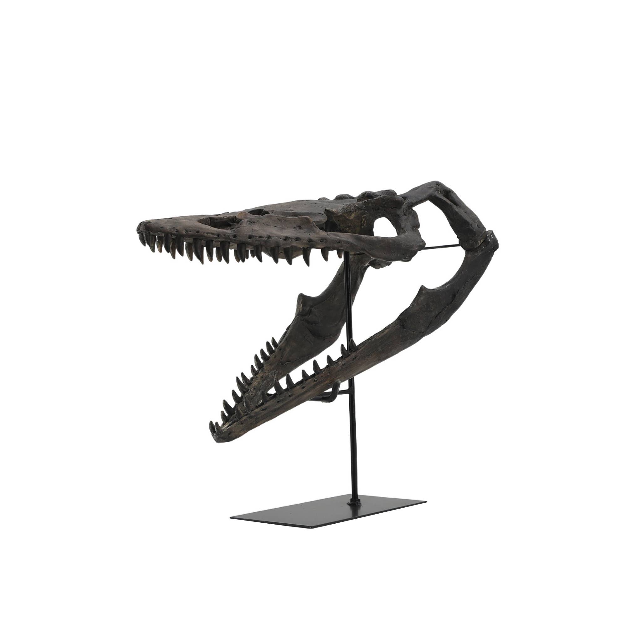 Faux Plioplatecarpus Dinosaur Skull Decor