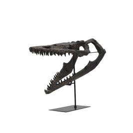 Faux Plioplatecarpus Dinosaur Skull Decor