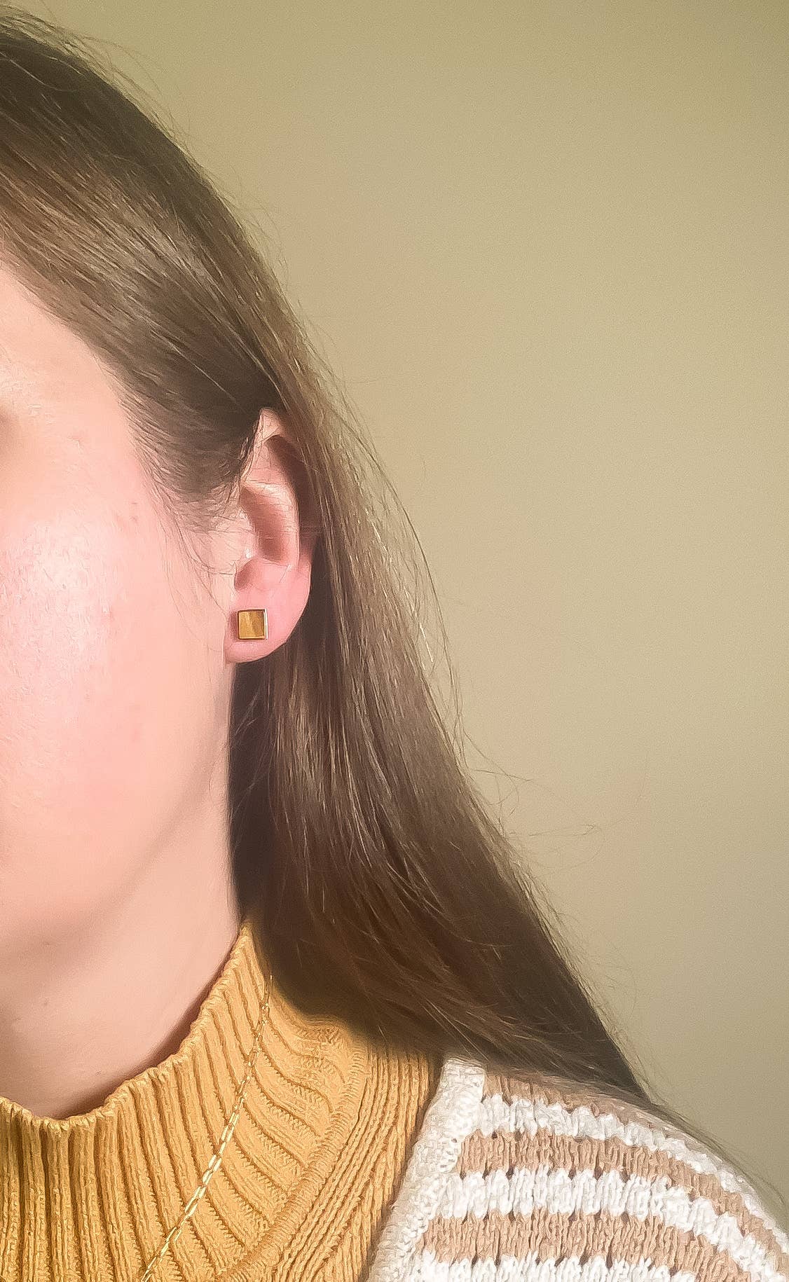Carnelian + Tiger's Eye Mismatched Studs