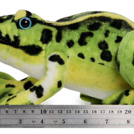 Frisco The Frog | 10 Inch Stuffed Animal Plush