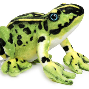 Frisco The Frog | 10 Inch Stuffed Animal Plush