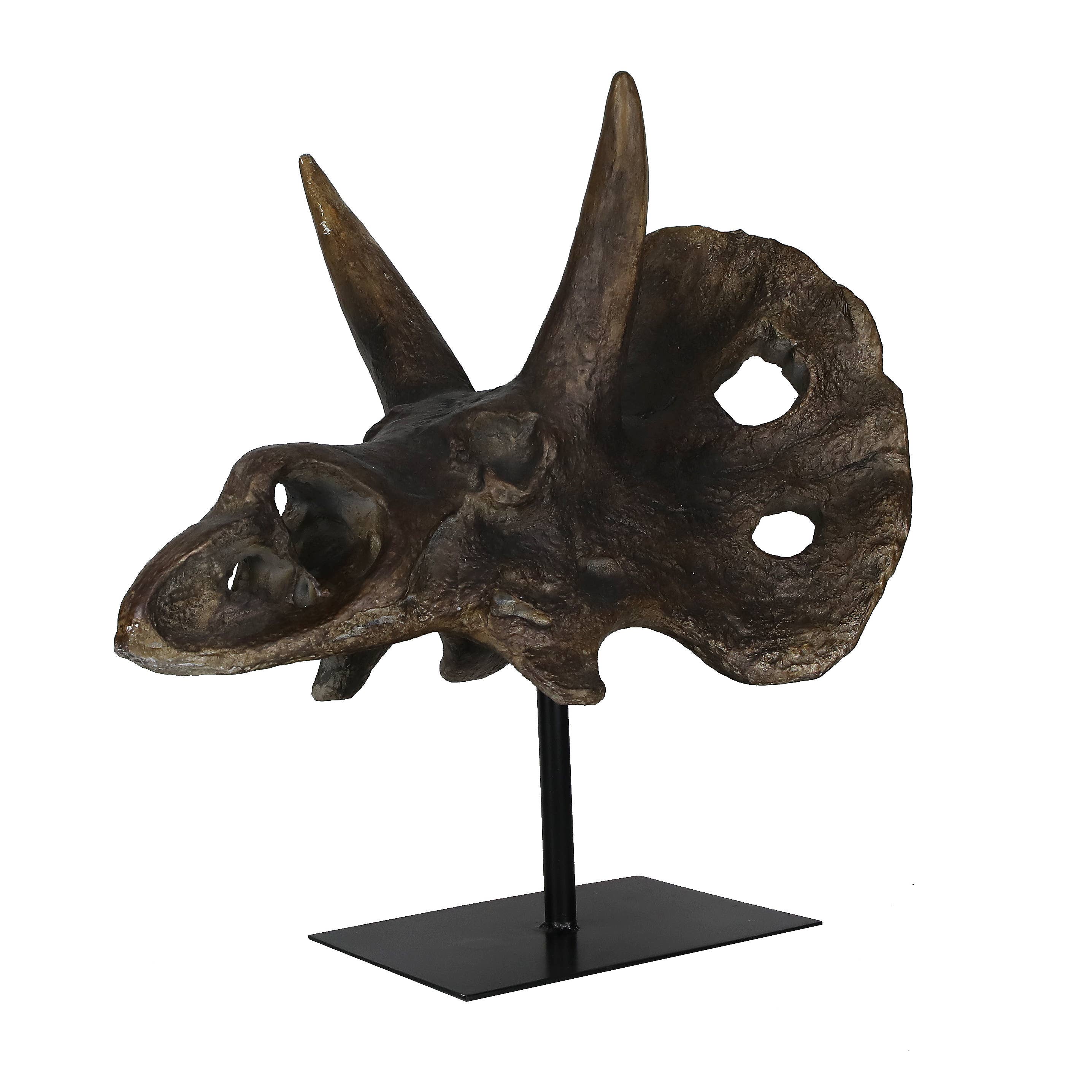 Faux Triceratops Dinosaur Large Skull Decor