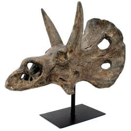 Faux Triceratops Dinosaur Large Skull Decor