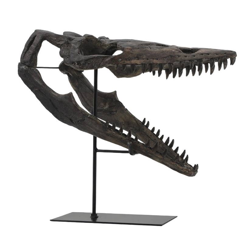 Faux Plioplatecarpus Dinosaur Skull Decor
