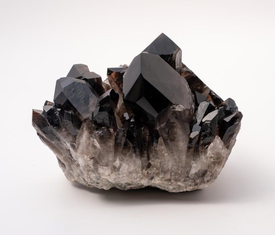 Showpiece Extra Dark "Morion" Smokey Quartz Polished Cluster Specimen - 6 lbs
