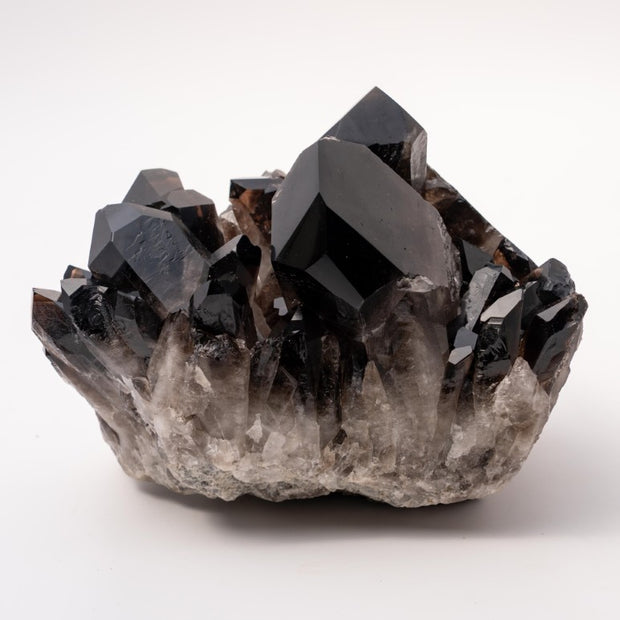 Showpiece Extra Dark "Morion" Smokey Quartz Polished Cluster Specimen - 6 lbs
