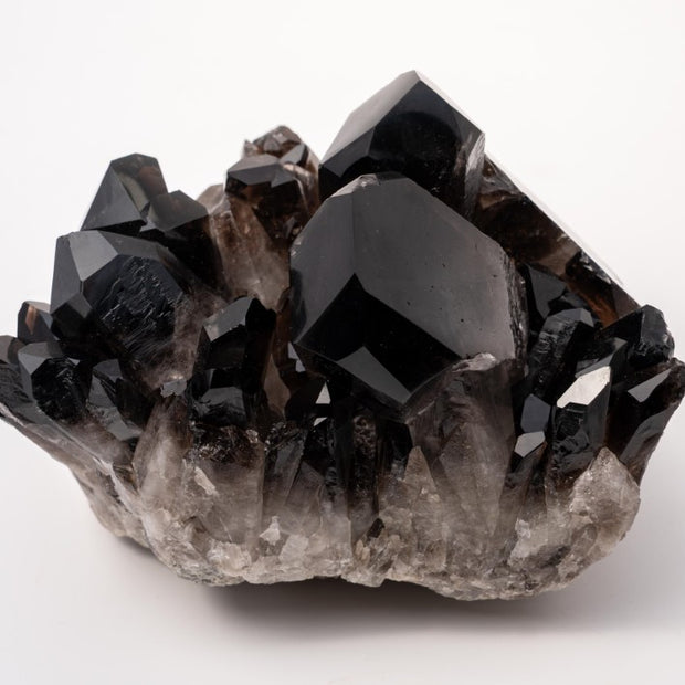 Showpiece Extra Dark "Morion" Smokey Quartz Polished Cluster Specimen - 6 lbs