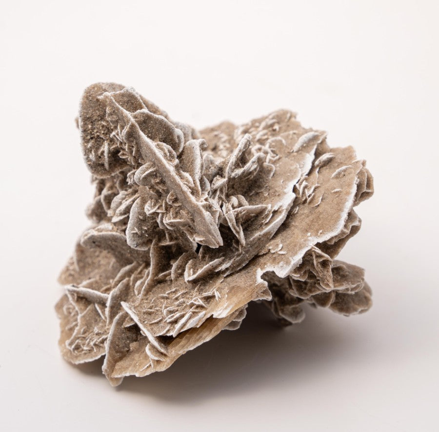 Desert Rose Specimen