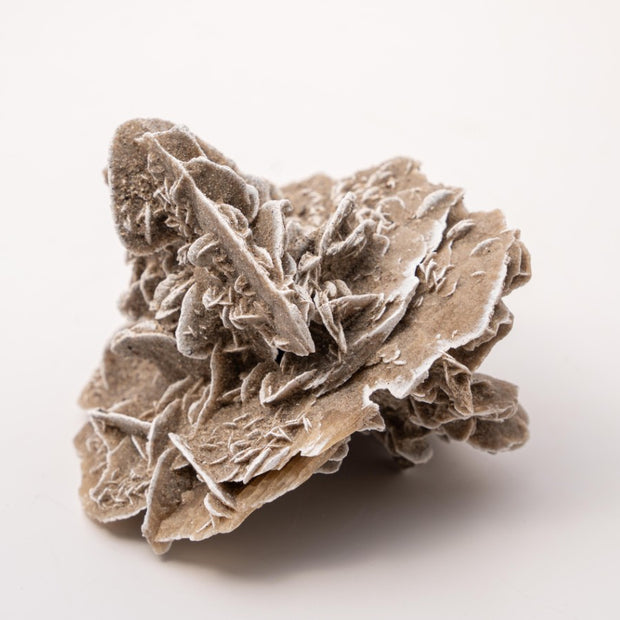 Desert Rose Specimen