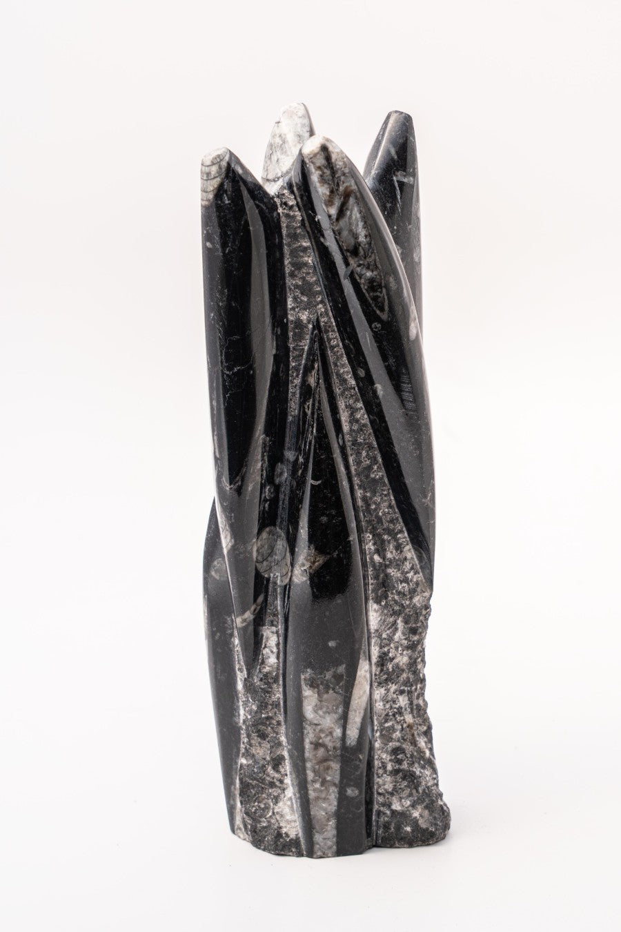 Orthoceras Towers Polished on Rough Matrix approx. 9